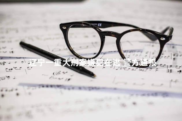 辽宁一重大刑案嫌犯在逃 警方通报